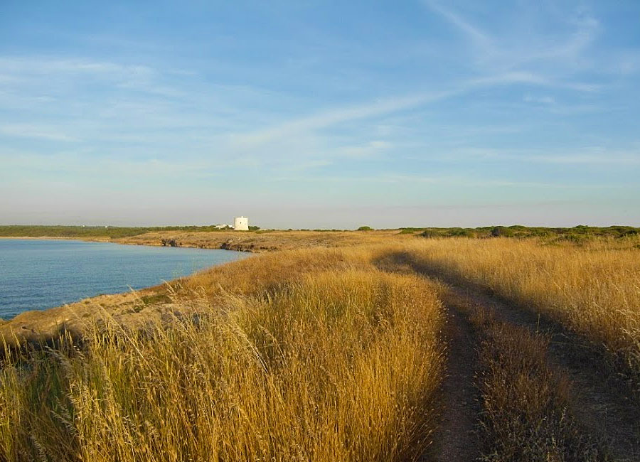 Passeggiata nel parco di Punta Pizzo